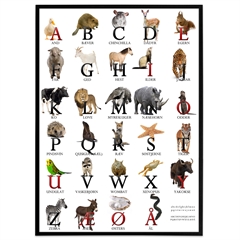 Alfabet plakat med dyr, abc