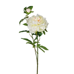 Kunstig Blomst - Pæon med to blomsterhoveder, Hvid, 65 cm