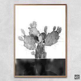 Plakat - Kaktus no.3