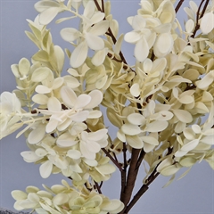 Bungalow kunstig blomst - Ruscus, Creme