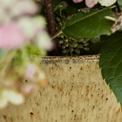 Beige farvede Corp vase fra House Doctor