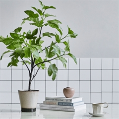 Grøn kunstig figenplante fra House Doctor med justerbare grene. Måler 81 cm i højden.