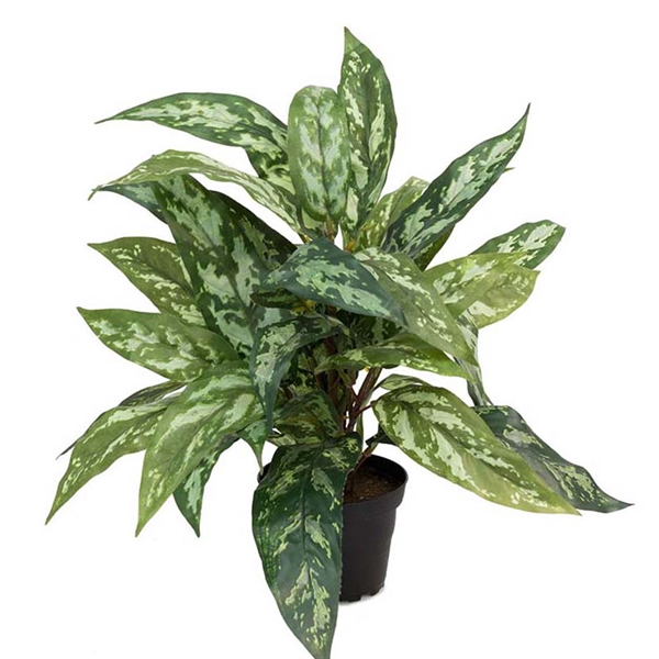 Kunstig Plante - Sømandstrøst, Grøn, 35 cm