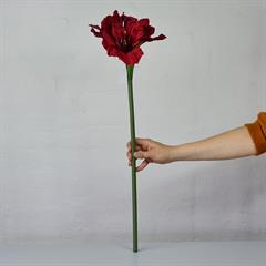 Kunstig blomst på stilk - Amaryllis 65 cm. - Mørk rød