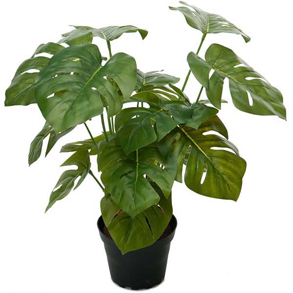 Kunstig monstera til hjemmet, 30 cm.