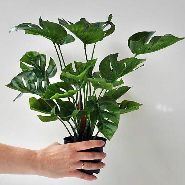 Plante artificielle Monstera 210 cm - NU PUUR & GROEN B.V.