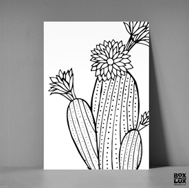 Postkort XL - Kaktus