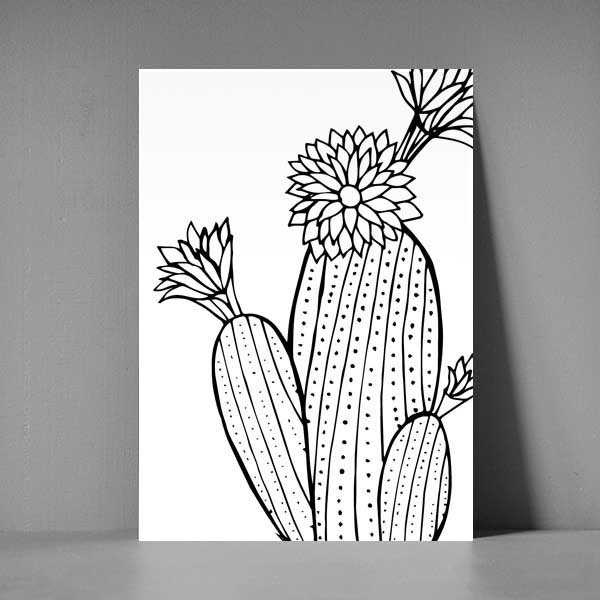 Postkort XL - Kaktus