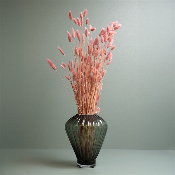 Tørrede Blomster - Lagurus, Old Pink
