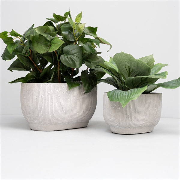  Flotte ovale urtepotter i sæt med 2 stk. her i en lysegrå nuance.