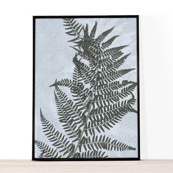 A4 kunsttryk til hjemmet, plakat, fern leaf