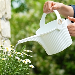 Beetle Vandkande - Hvid - SMALL 1,5 liter