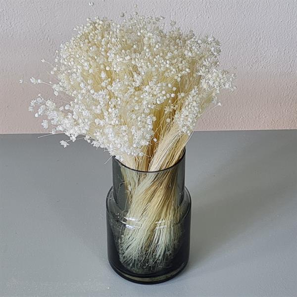 Tørrede Blomster - Marcela, Hvid