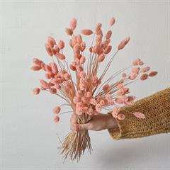 Tørrede Blomster - Phalaris, Rosa