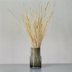Tørrede Blomster - Phleum Hvid, XL