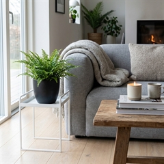 Como Plantestander - Single - Hvid