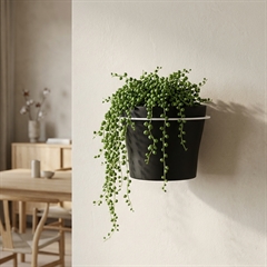 Stor planteholder til væg - hvid - forfra