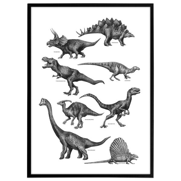 Plakat - Dinosaurer, sort/hvid