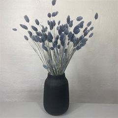 Phalaris blomster i blå/grå