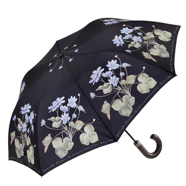 Sort paraply med blå anemoe