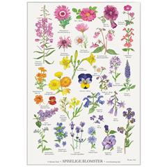 Plakat med smukke spiselige blomster