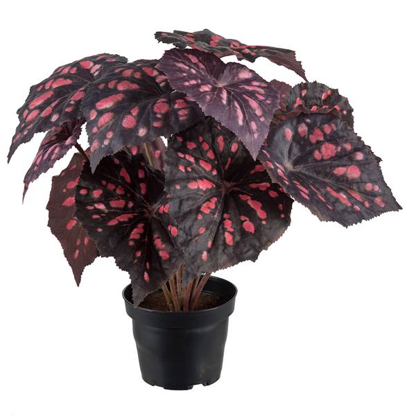 Rexbegonia kunstig plante, vinrød