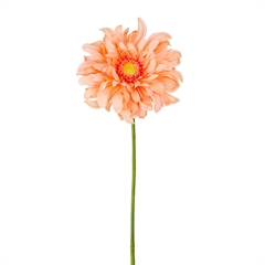 Kunstig blomst på stilk - Gerbera 80 cm - Abrikos