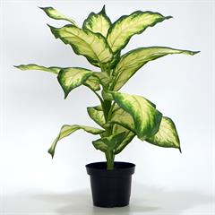 Kunstig Plante - Dieffenbacia, lysegrøn 35 cm.