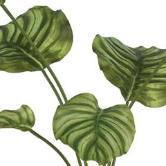 Calathea plante i krukke, kunstig