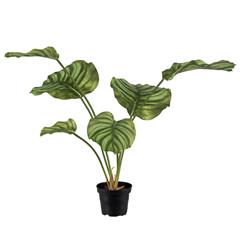 Kunstig Calathea plante, 55 cm.