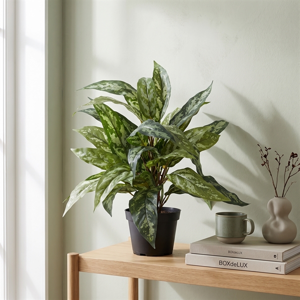 Kunstig Plante - Sømandstrøst, Grøn, 35 cm