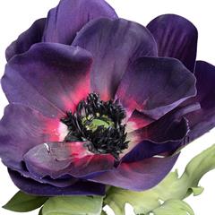 kunstig blomst - anemone i en mørk nuance