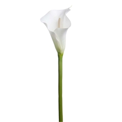 Kunstig Blomst - Calla, Hvid, 80 cm