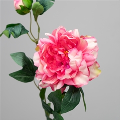 Kunstig Blomst - Pæon med to blomsterhoveder, Pink, 65 cm