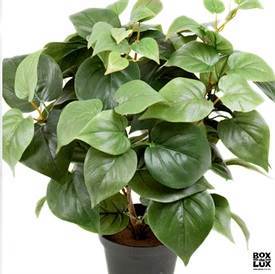 kunstig plante - philodendron