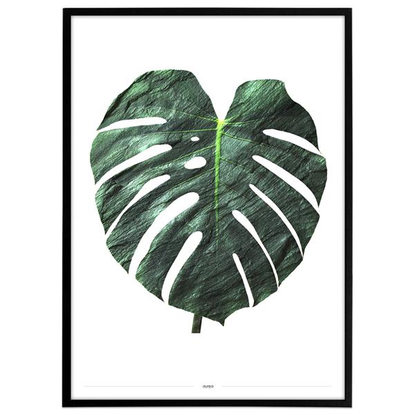 Plakat - Monstera, grøn