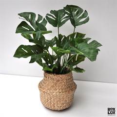 Kunstig plante - 30 cm. Monstera