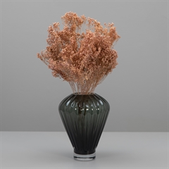 Tørrede Blomster - Broom Bloom, Powder Pink