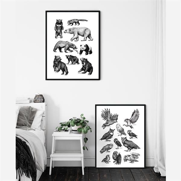 Plakater - Illustrationer 