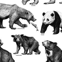 Stilren plakat med bjørne til hjemmet