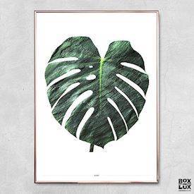 Plakat - Monstera, grøn