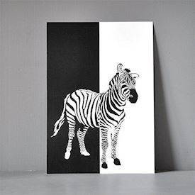 Postkort XL - Zebra