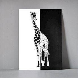 Postkort XL - Giraf