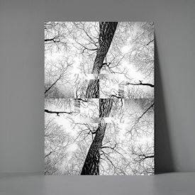 xl postkort Treetop Mirror