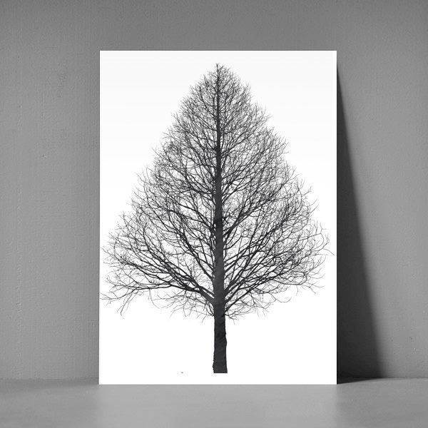 xl postkort - tree