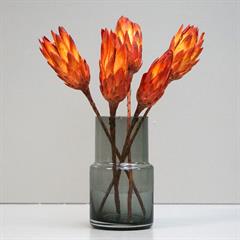 Tørrede Blomster - Protea, Rød/Gul. 5 stk