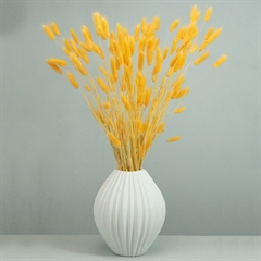 Tørrede Blomster - Lagurus - Lys Apricot - XL bundt