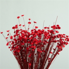Smukke tørrede blomster til hjemmet i en rød farve - Glixia