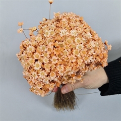 glixia buket tørrede blomster, peach