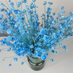 Tørrede Blomster - Jazilda, Blå